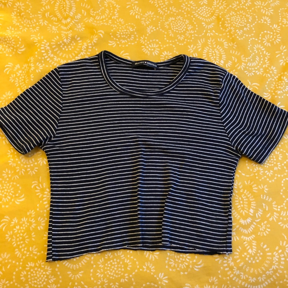 Brandy Melville crop top